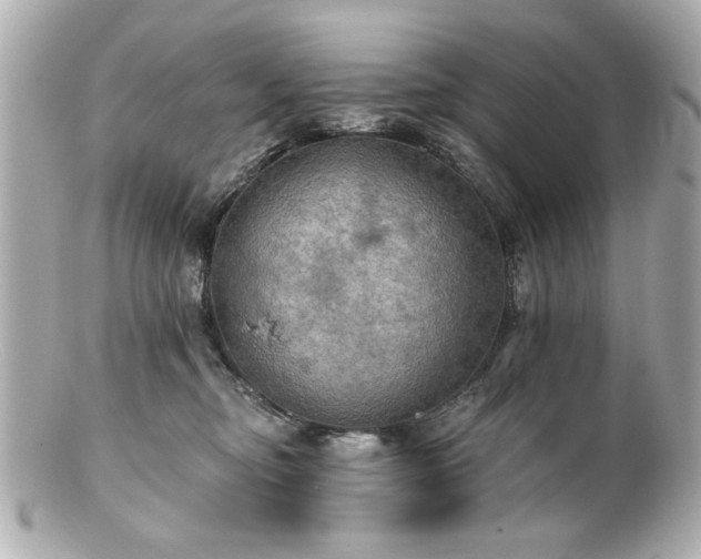 X0000100890374200807011202