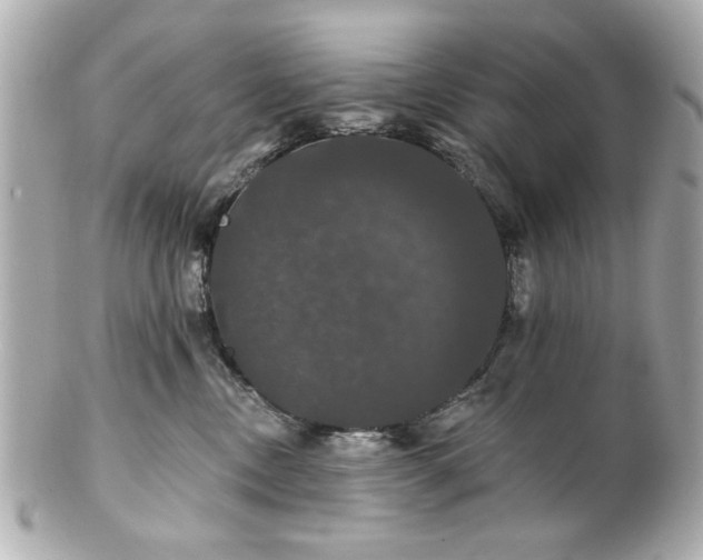 X0000100890378200807011202