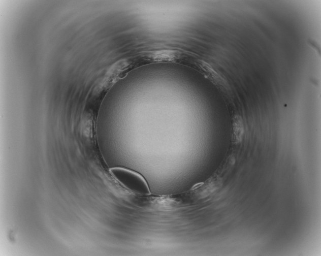 X0000100890379200807011202