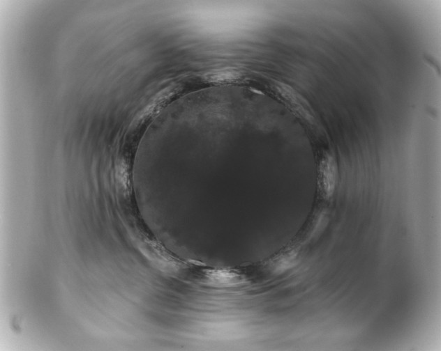 X0000100890380200807011202