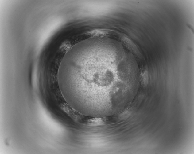 X0000100890381200807011203