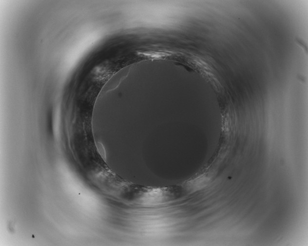 X0000100890382200807011203