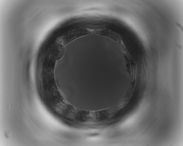 X0000100890383200807011203