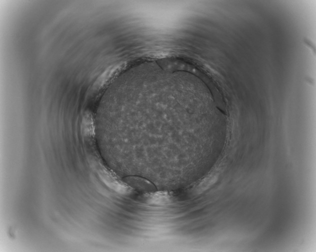 X0000100890384200807011203