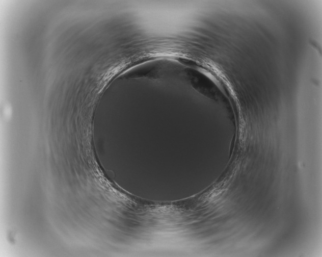 X0000100890385200807011202