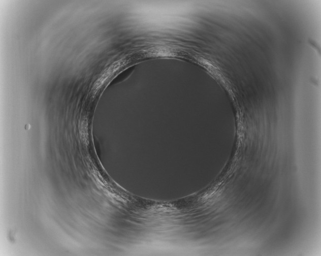 X0000100890386200807011202