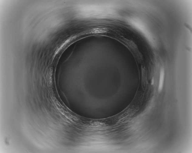 X0000100890387200807011202