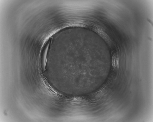 X0000100890388200807011202