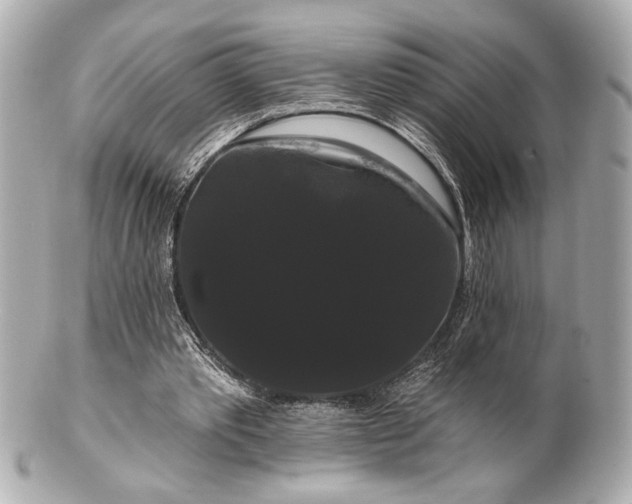 X0000100890389200807011202