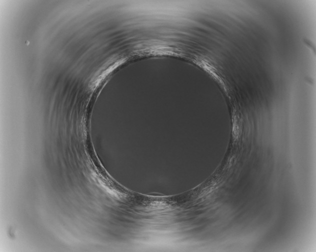 X0000100890390200807011202
