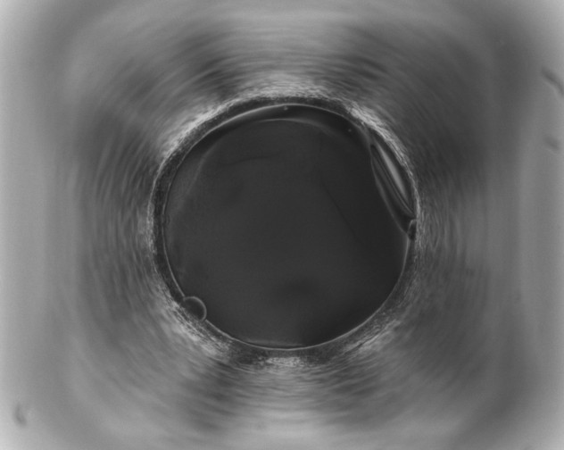 X0000100890391200807011202