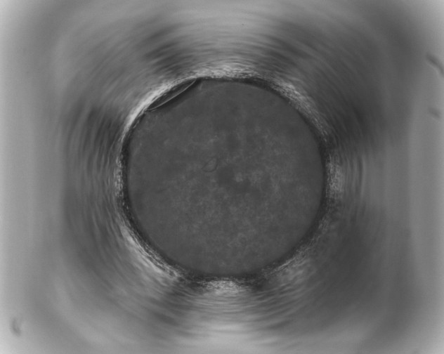 X0000100890392200807011202