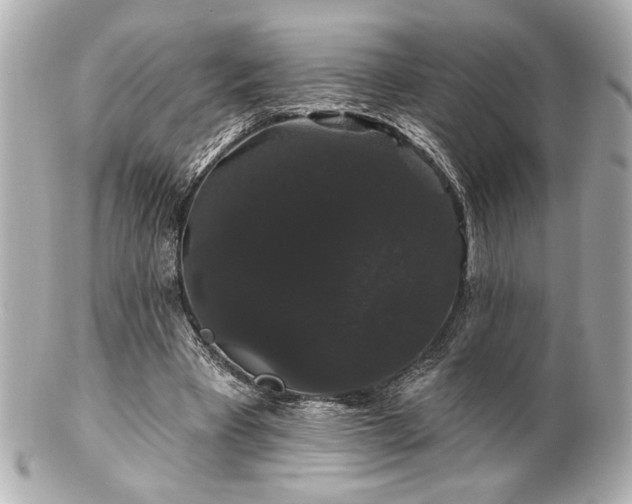 X0000100890393200807011202