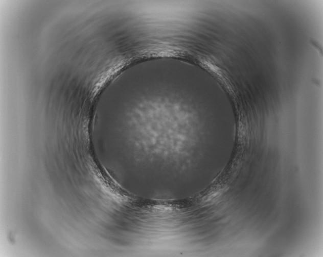 X0000100890394200807011202