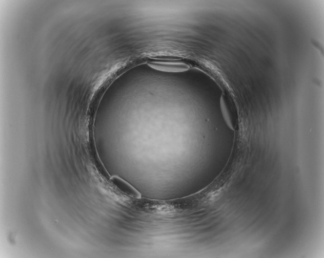 X0000100890395200807011202
