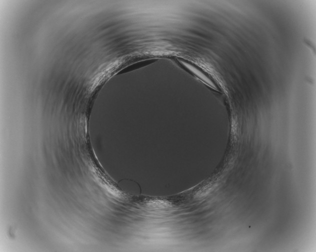 X0000100890397200807011202