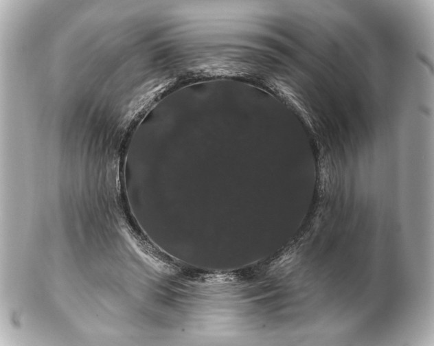 X0000100890398200807011202