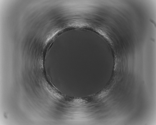 X0000100890399200807011202
