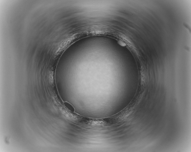 X0000100890401200807011202