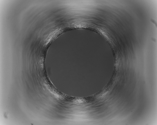 X0000100890402200807011202