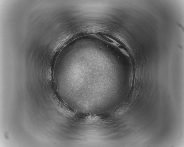 X0000100890403200807011202