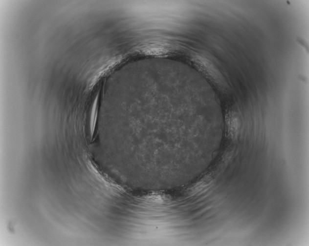 X0000100890404200807011202