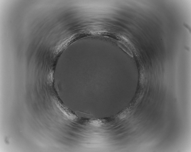 X0000100890405200807011202