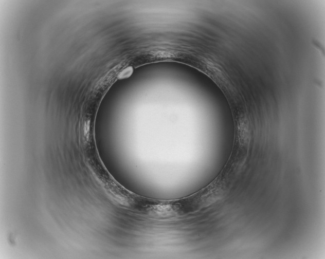 X0000100890406200807011202