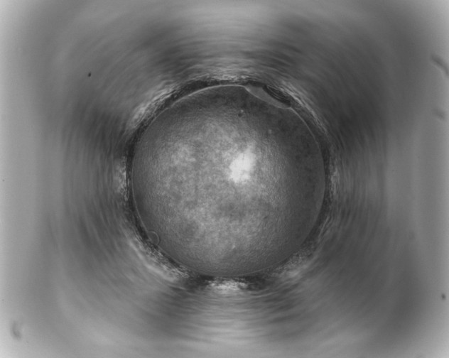 X0000100890407200807011201