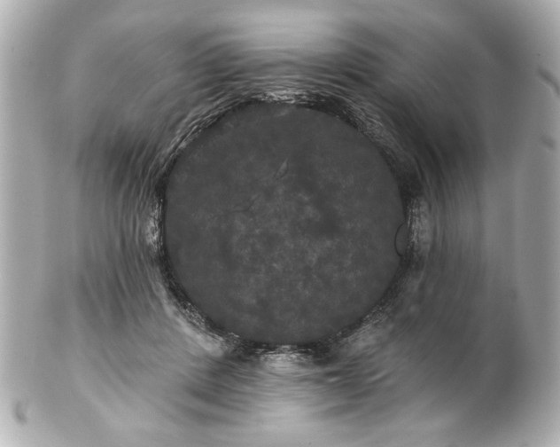 X0000100890408200807011201