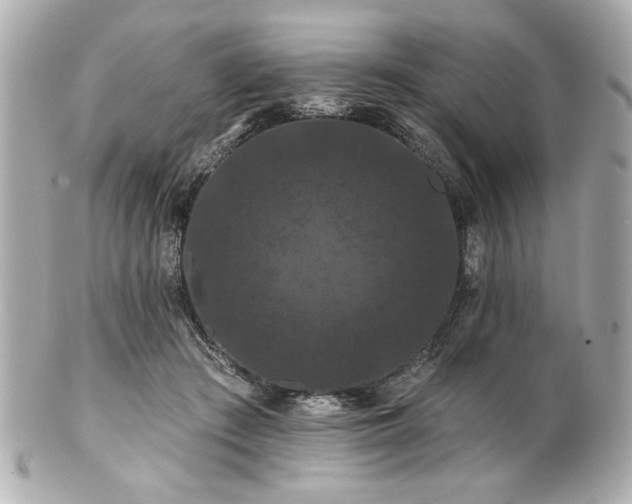 X0000100890409200807011201