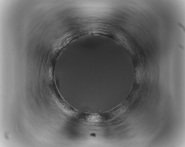 X0000100890410200807011201