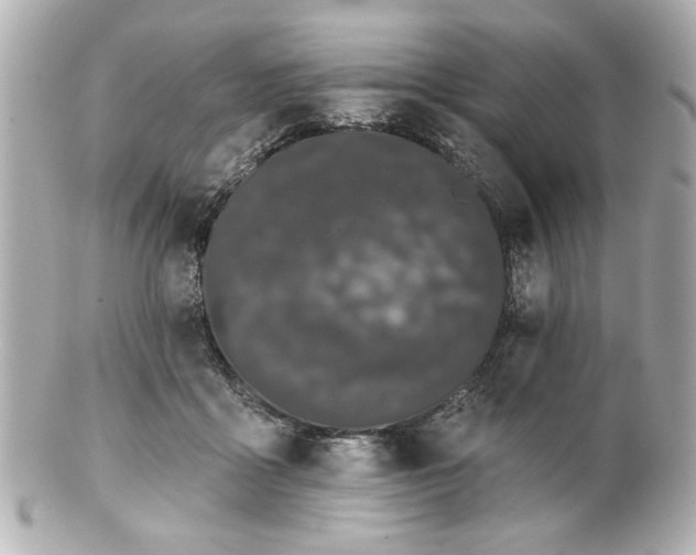 X0000100890411200807011201