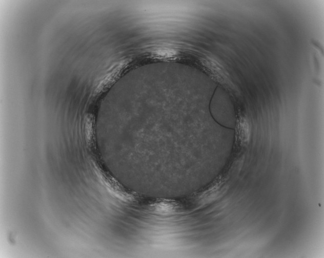 X0000100890412200807011201