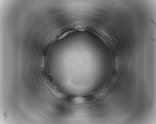 X0000100890413200807011201