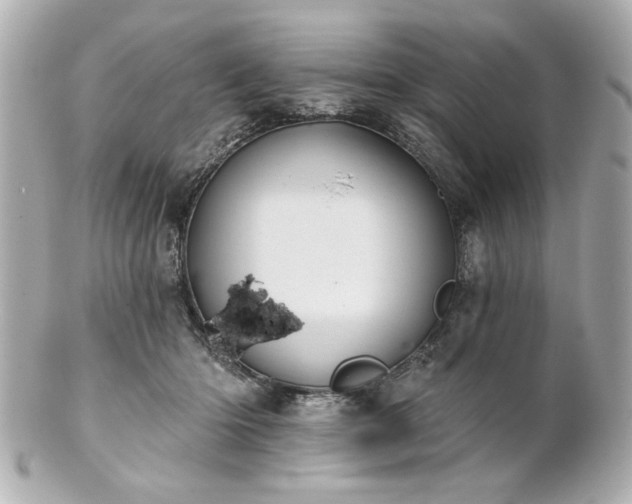 X0000100890414200807011201