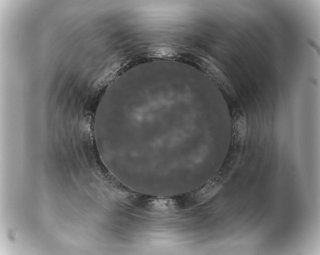 X0000100890415200807011201