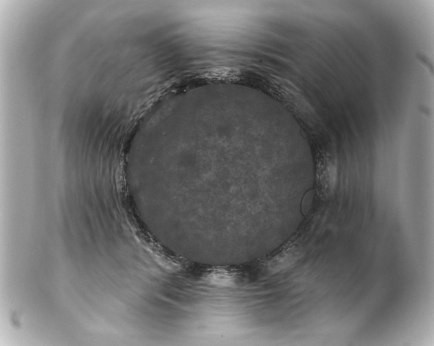 X0000100890416200807011201