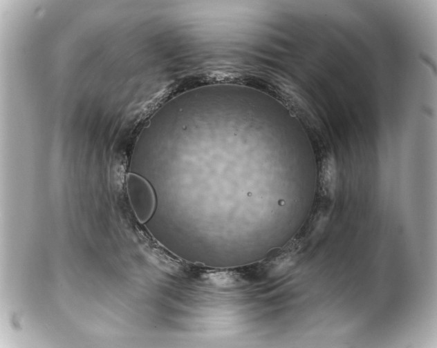 X0000100890417200807011201