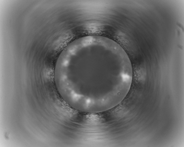 X0000100890419200807011201