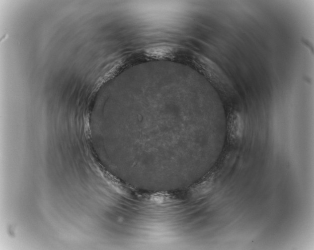 X0000100890420200807011201
