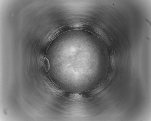 X0000100890421200807011201