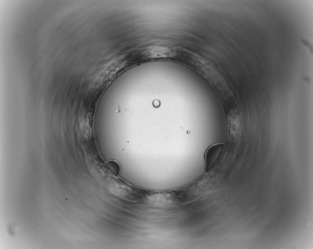 X0000100890422200807011201