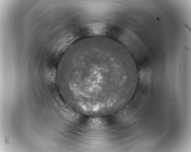 X0000100890423200807011201