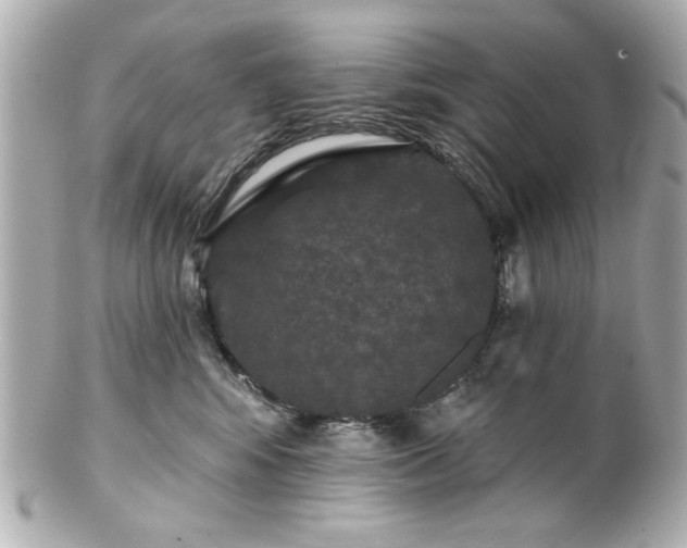 X0000100890424200807011201