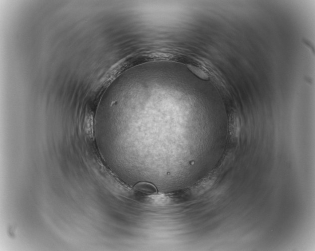 X0000100890425200807011201