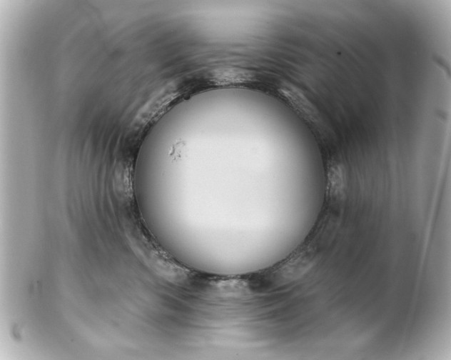 X0000100890426200807011201