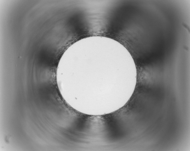 X0000100890427200807011201
