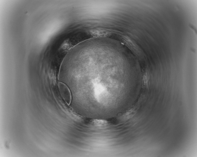 X0000100890429200807011201