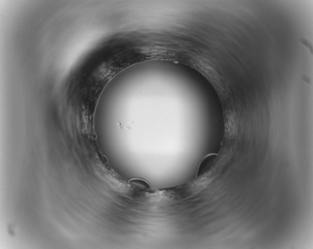 X0000100890430200807011201